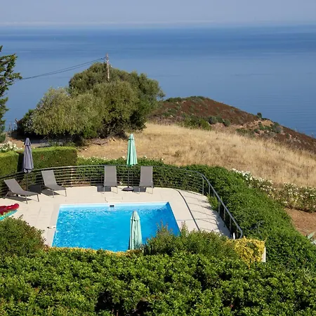 Pietri קלקטוג'יו